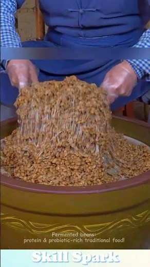 Fermented beans: protein & probiotic-rich traditional food! #food