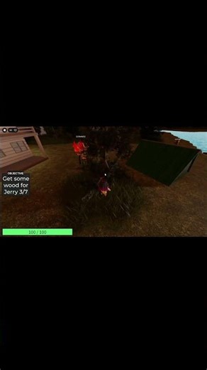 Collecting Wood For The Campfire