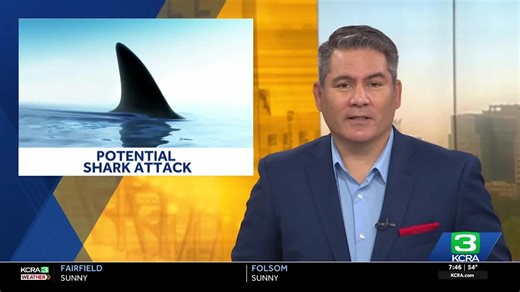Shark attack investigation underway at Mendocino Headlands State Park