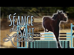 Hermione SAUTE en LIBERTÉ !