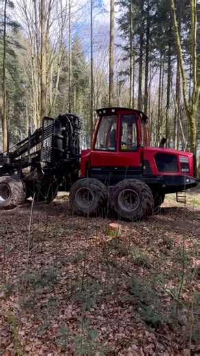 14 Tonnen modernes Wald Arbeitsgetät 🚜 | Extrem starker Forst-Forwarder im Wald
