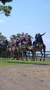 Imagine riding a camel through breathtaking landscapes! 🤩 • Guided tours for all ages • Unforgettable family memories Book now and create your own adventure story! | Summer Land Camels