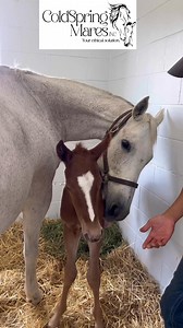 88K views · 4.6K reactions | We often get told, “you have the best...