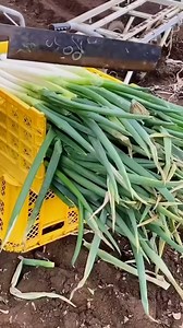 40K views · 147 reactions | The most amazing inventions and devices (1) | Jun Bal | Facebook