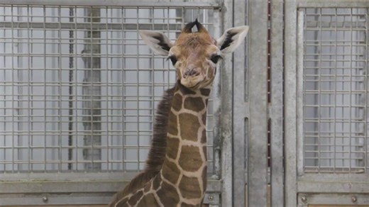 Spring Break staycations: Explore Des Moines’ local attractions and events - NewsBreak