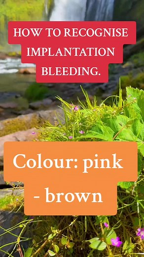 How to Identify Implantation Bleeding: Signs, Symptoms, and Colors