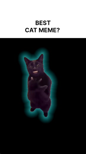 Best cat meme Black Cat clapping edit meme short meme edit#memes#blackcat #catedit#catmemes#catmeme