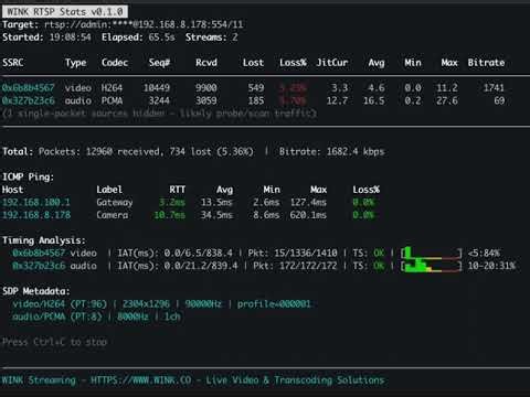 WINK RTSP Stats - Free RTSP Stream Analyzer (Packet Loss, Jitter, Bitrate)