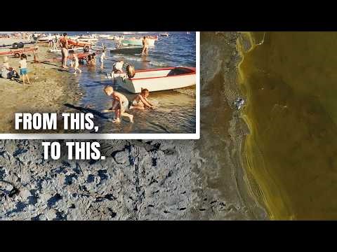 The Rise and Fall of the Salton Sea | From Paradise to Ruins
