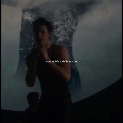 Puppy Playfulness for Shawn Mendes Fans