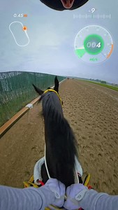 3.1K reactions · 160 comments | Galloping and how I hold my cross, everyone is different and has their own preferences but this is that way I usually do it. #horses #horseracing #parxracing #racehorses #horseriding #galloping horses #horsetutorial #jockey #thoroughbreds | Ramon F Moya | Facebook