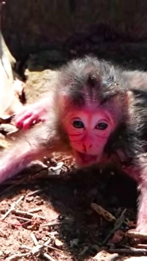Newborn baby learning to walk for the first time