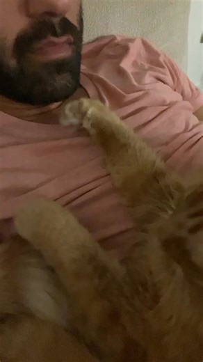 Kermit petting me like the good human I am 😹 #catlovers #cats #catdad #orangecat #catlove | Javie and Mr. Kermit