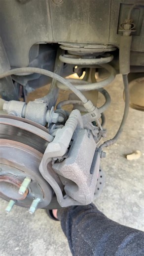 Colleen (@stemgirlsrule)’s videos with original sound - Colleen