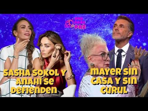 Sergio Mayer sin casa y sin curul. Laura Zapata desquiciada