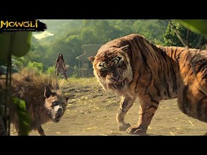 طفل تربى في الغابة وسط الذئاب وإنتقم من قاتل عائلته، قصة ماوكلي♥️|| ملخص🎦Mowgli Legend Of The Jungle