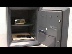 First Alert 2087F Fire, Water & Theft Combination Safe