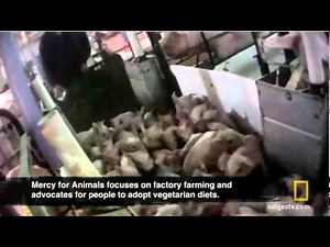 Inside: Secret America Hidden Camera Investigation