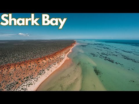 Exploring the Wonders of Shark Bay, Western Australia