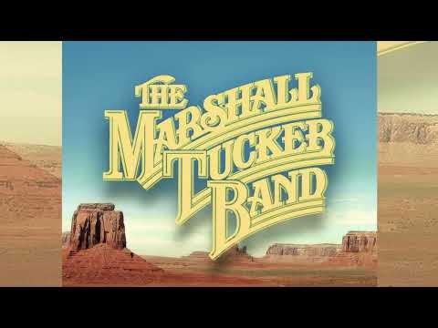 Marshall Tucker Band ﻿﻿ - Fly Eagle Fly (vinyl)