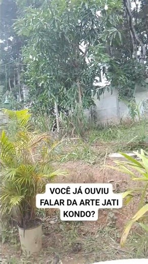Guarulhos Jati kondo
