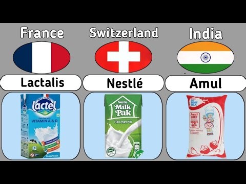 Top Dairy Brands From Different Countries 2026