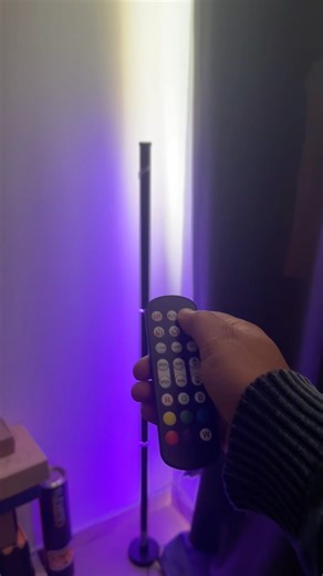 RGB Floor Lamp Review for Content Creators