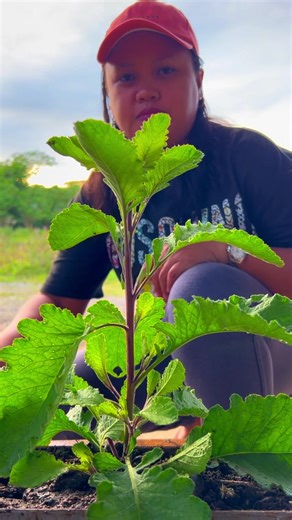 Exploring Creative Photography Techniques