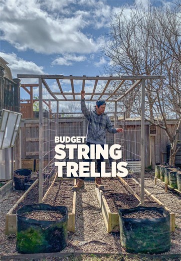 Economical Twine Trellis Method for Vining Plants