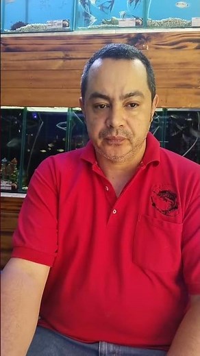 marco de referencia
