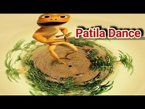 PATILA NEW EFFECT THE DUSK CALL DANCE VEDIO