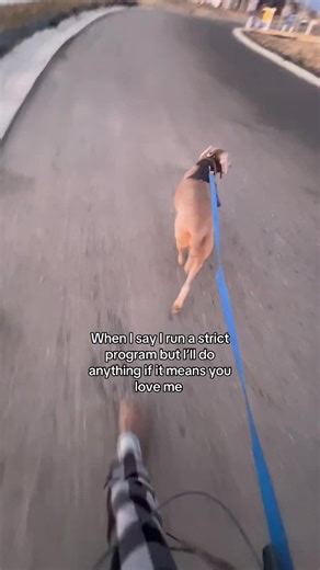 bitch_228 (@bitch_228)’s videos with original sound - jay