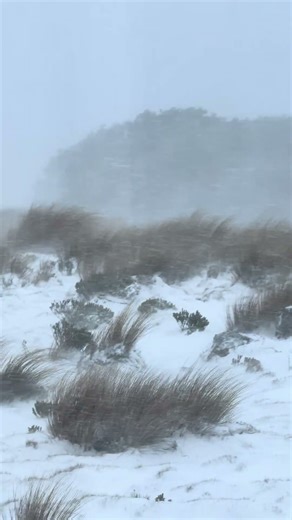 Snow storm cabin camping in New Zealand
