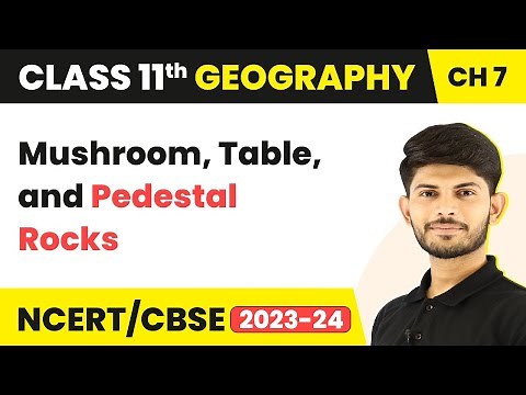 Mushroom, Table, and Pedestal Rocks - Landforms and their Evolution | Class 11 Geography