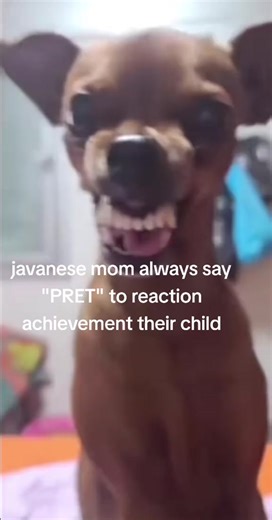 Javanese Mom's Hilarious 'PRET' Reaction to Child's Achievement