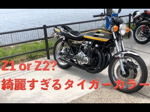 [97] Z1 or Z2? Beautiful Tiger Color 26/May/2024