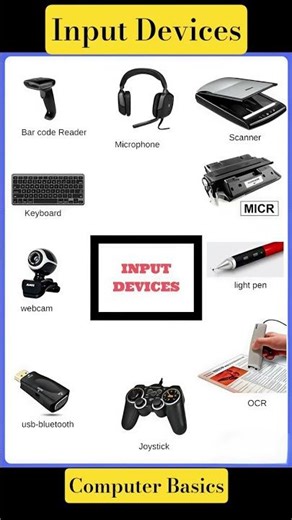 Input |input devices| computer input devices #computerscience #computer #education