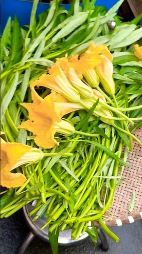 Thu hoạch hoa bí ,rau muống #gardening #trongrausach