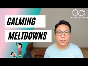 Calming Strategies that Work during Meltdowns for Children with Autism