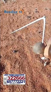 Maxaad ka taqaanaa Xabad Kabajaada Hubka Ay Caruurtu Samayso | Baadiye TV