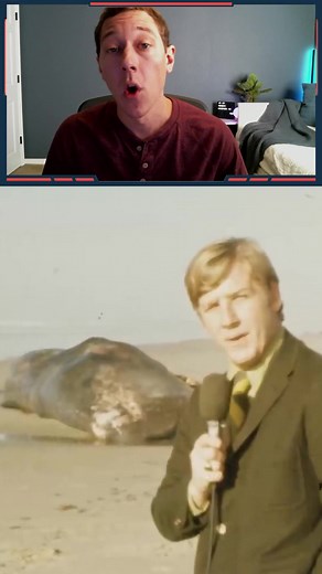 1.3M views · 10K reactions | How NOT to dispose of a beached whale! #fyp #oregon #epicfail | TheFeedski | Facebook