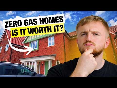 Net Zero House Cost: Worth It or Big Mistake?
