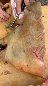 4.5M views · 37K reactions | Traseul la gușă! | Eugen Danca | Facebook