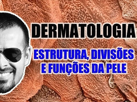 Sistema Tegumentar - Pele: Estrutura, divisões (camadas) e funções - VideoAula 036