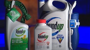 Roundup ready... or not?
