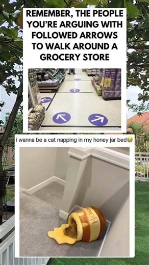 When Supermarket Aisles Turn Into a Navigation Challenge 🧭😄