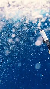 228K views · 8.3K reactions | Giant Mackerel Survival Catch and Cook (Primitive Cooking) | Wade Papenfus | Facebook