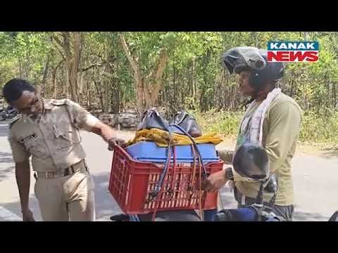 Vehicle Checks Underway At Odisha-Chhattisgarh Border As Elections Commence