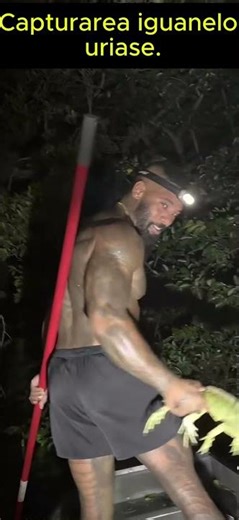 Vânătoare de noapte: Războiul meu cu Iguanele!