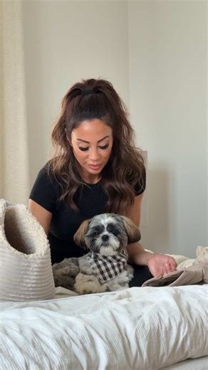 Ad/Vi har fundet de fineste og mest behagelige ting til Loui hos @bydoodledog 🐾 Fra strik og flot sele til matchende halsbånd og en pæn hundesnor ✨ Hundetasken og hundesædet til bilen har virkelig gjort en forskel Loui sidder trygt, ligger blødt, og køreturen er noget helt andet nu 🤍 Virkelig god kvalitet og gennemtænkte produkter. #dog #dogs #hunde #hund #bydoodledog @By Doodle Dog